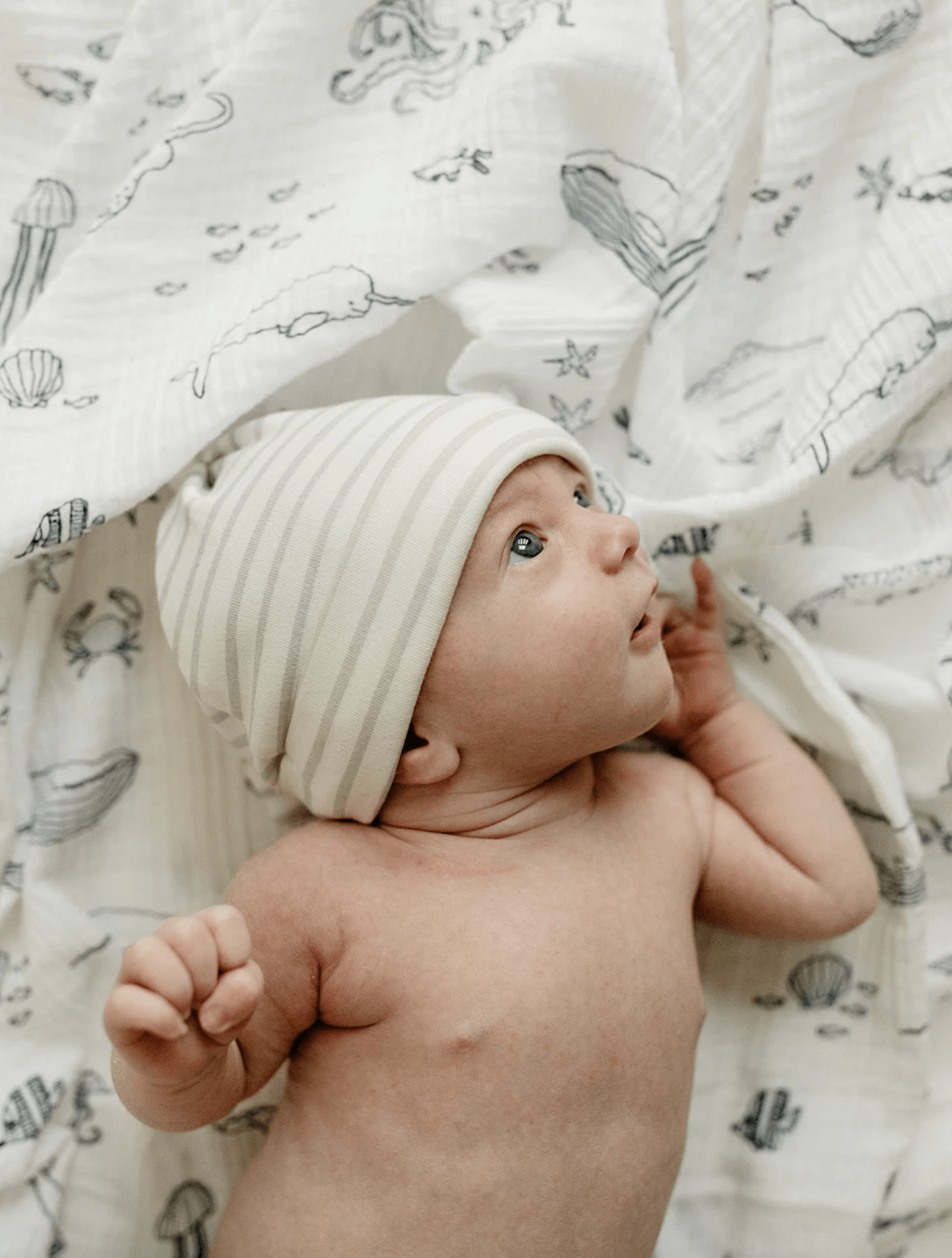 Pehr Wrap Me Up Swaddles Marine Life Aquatic -Baby Care Shop wx20210226 124602