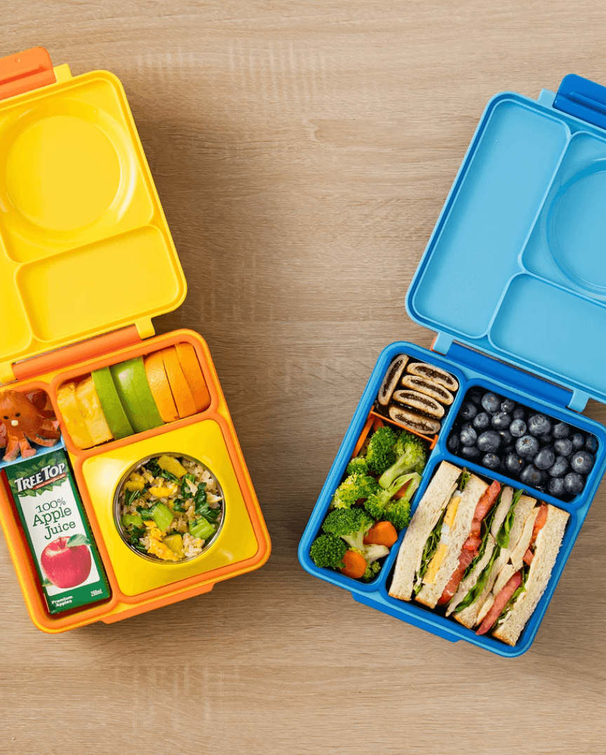 OmieBox thermos bento lunch box - Meadow – Bentofan