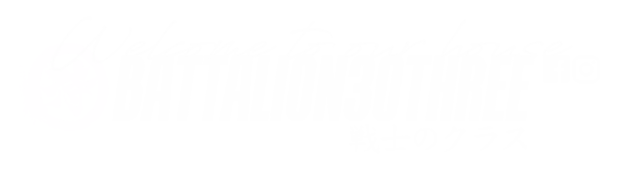 BATTALION30THREE™