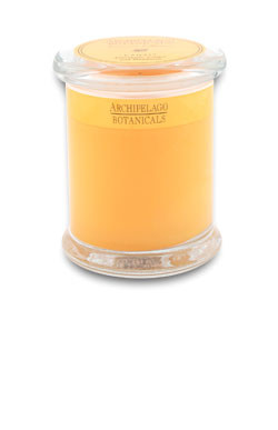Discover your favorite brand Archipelago Havana Excursion Candle Jars