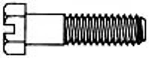 Slotted Hex Cap Screw