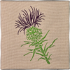 Thistle Canvas | DA03