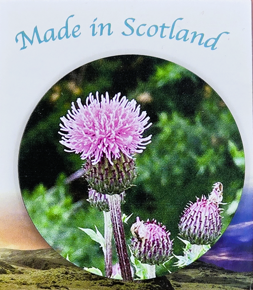 Thistle Magnet | MG203 (10 pack) Thistle Magnet | MG203 (10 pack)