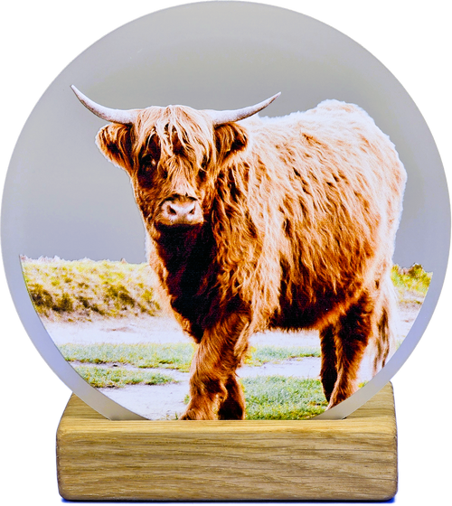 Realistic Coo Moments | M41