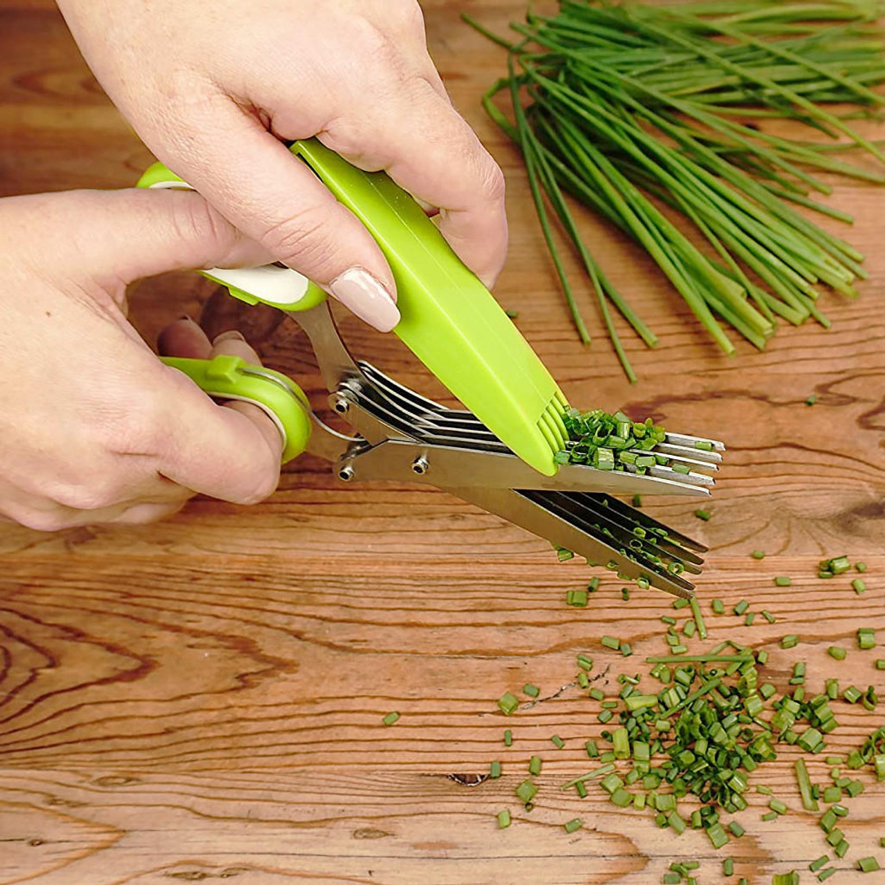 Herb Scissors Stainless Steel The Gourmet Warehouse