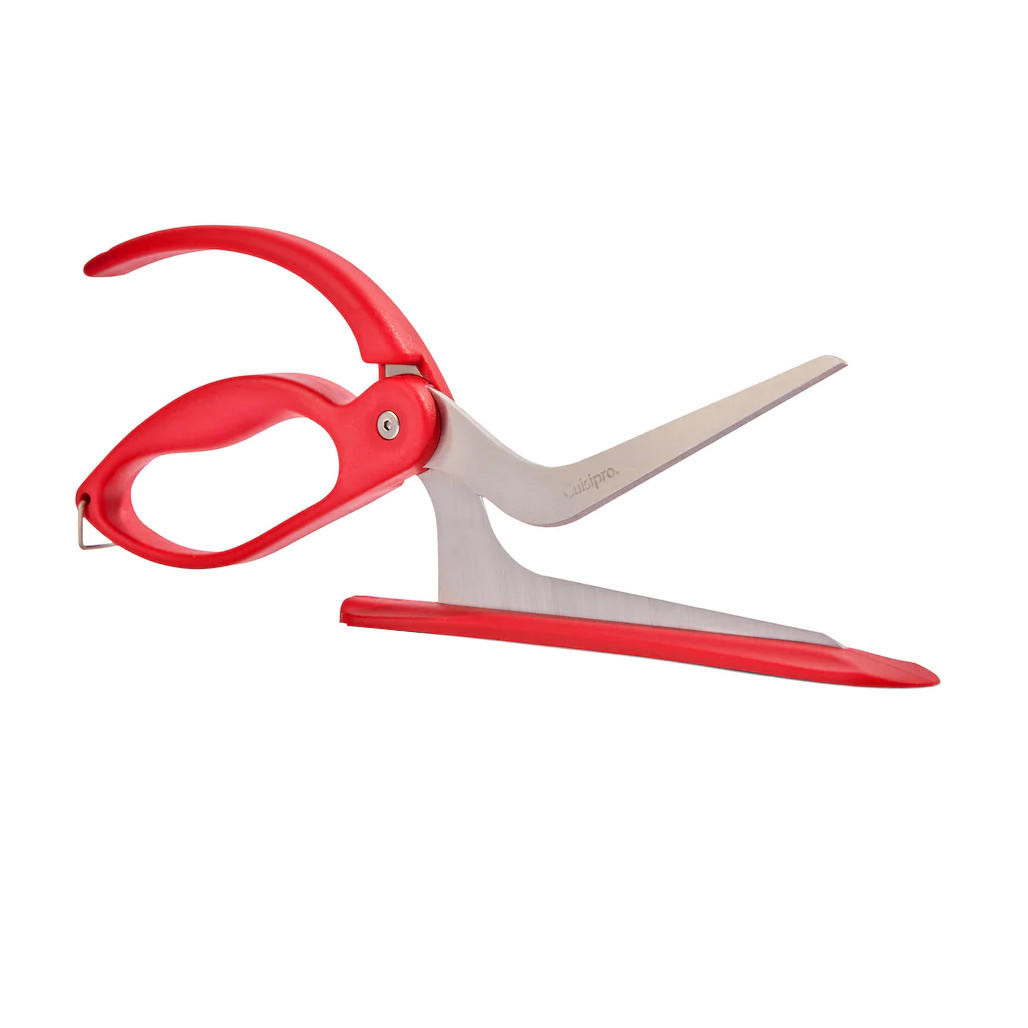 Snapshot of Pastad Shears With Ergonomic Design