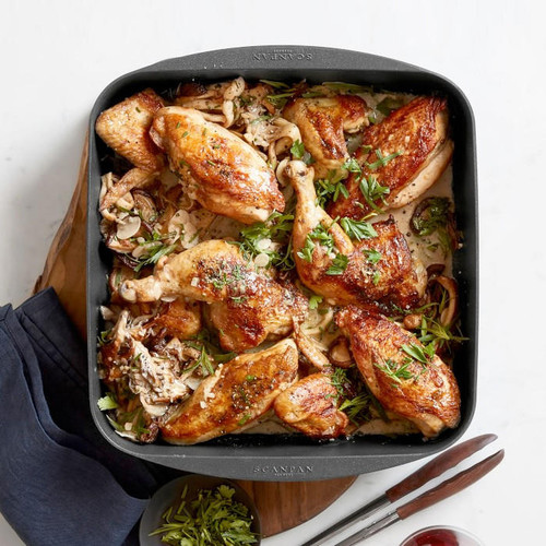 Square Roasting Pan Nonstick TechnIQ Series, The Gourmet