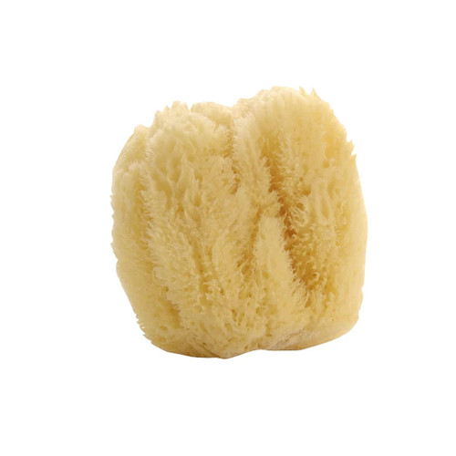 SAVON DE MARSEILLE Natural Sea Sponge - Large
