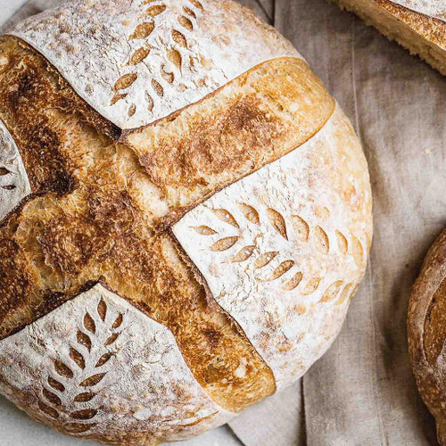 COOKING CLASS OLD SCHOOL COOL: SOURDOUGH BREAD MAKING - SUN, SEP 13 [AM] 