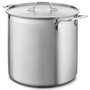 ALL-CLAD Multi Cooker - Stainless Steel, 12Qt 