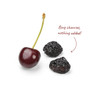 CHUKAR CHERRIES Bing Cherries - Dried, 153g 