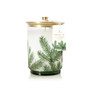 THYMES Frasier Fir - Medium Pine Needle Luminary, 11oz