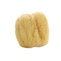 SAVON DE MARSEILLE Natural Sea Sponge - Large 