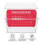 OGGI Berry Bin - Single Basket, Red 