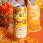 TOPO CHICO Topo Chico Sparkling Water - Tangerine + Ginger Extract, 355ml 