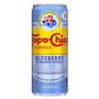 TOPO CHICO Topo Chico Sparkling Water - Blueberry + Hibiscus Extract, 355ml 