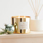 THYMES Frasier Fir - Gold 3-Wick Candle, 17oz