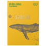 SIRENE CHOCOLATE SIRENE - 73% Dark Chocolate Bar - Alto Beni, Bolivia, 70g 