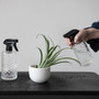 CREATIVE CO-OP Spray Bottle Embossed Glass - Assorted 