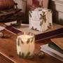 THYMES Frasier Fir - Pine Needle Poured Candle, 13oz 
