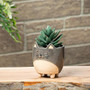 ABBOTT Small Cat on Legs Planter - Stoneware, 3-in 