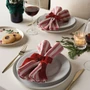 Peppermint Stripe Napkins - 100% Cotton, Set of 4