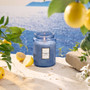 Japonica Large Jar Candle - Mediterranean Lemon, 18oz