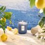 Japonica Classic Medium Candle - Mediterranean Lemon, 9oz