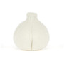 JELLYCAT Amuseables Garlic 