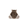 JELLYCAT Ulrich Wolf 