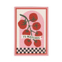 A Dopo Tomato Vine - Boxed Matches, 75ct