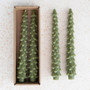 CREATIVE CO-OP Tree Shaped Taper 10-in Candles Cedar Green Colour - Unscented, Box of 2 