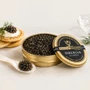 CAVIAR GIAVERI Siberian Classic Italian Caviar, 10g ❆ 