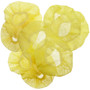 REGENCY Lemon Stretch Wrap with Elastic, Pack of 12