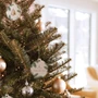 THYMES Frasier Fir - Decorative Sachet