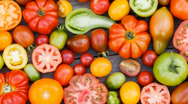 FRIDAY AUGUST 18 | CKNW 980 FOODIE FRIDAY - HEIRLOOM TOMATOES