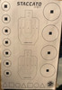 staccato-2011-custom-pistol-training-target-22.5x35-nra-approved-paper-made-in-usa-alco-target