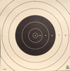 SR-21C Shooting Target