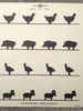 an-16-gallery-target-4-row-animal-silhouettes-alco-target