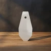 classic-small-pineapple-steel-shooting-plate