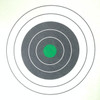 hill-23-2g-five-bull-black-green-center-shooting-target-21x24-made-in-usa-alco-target