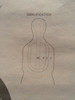 us-customs-cat-ii-gray-silhouette-training-target-alco-target
