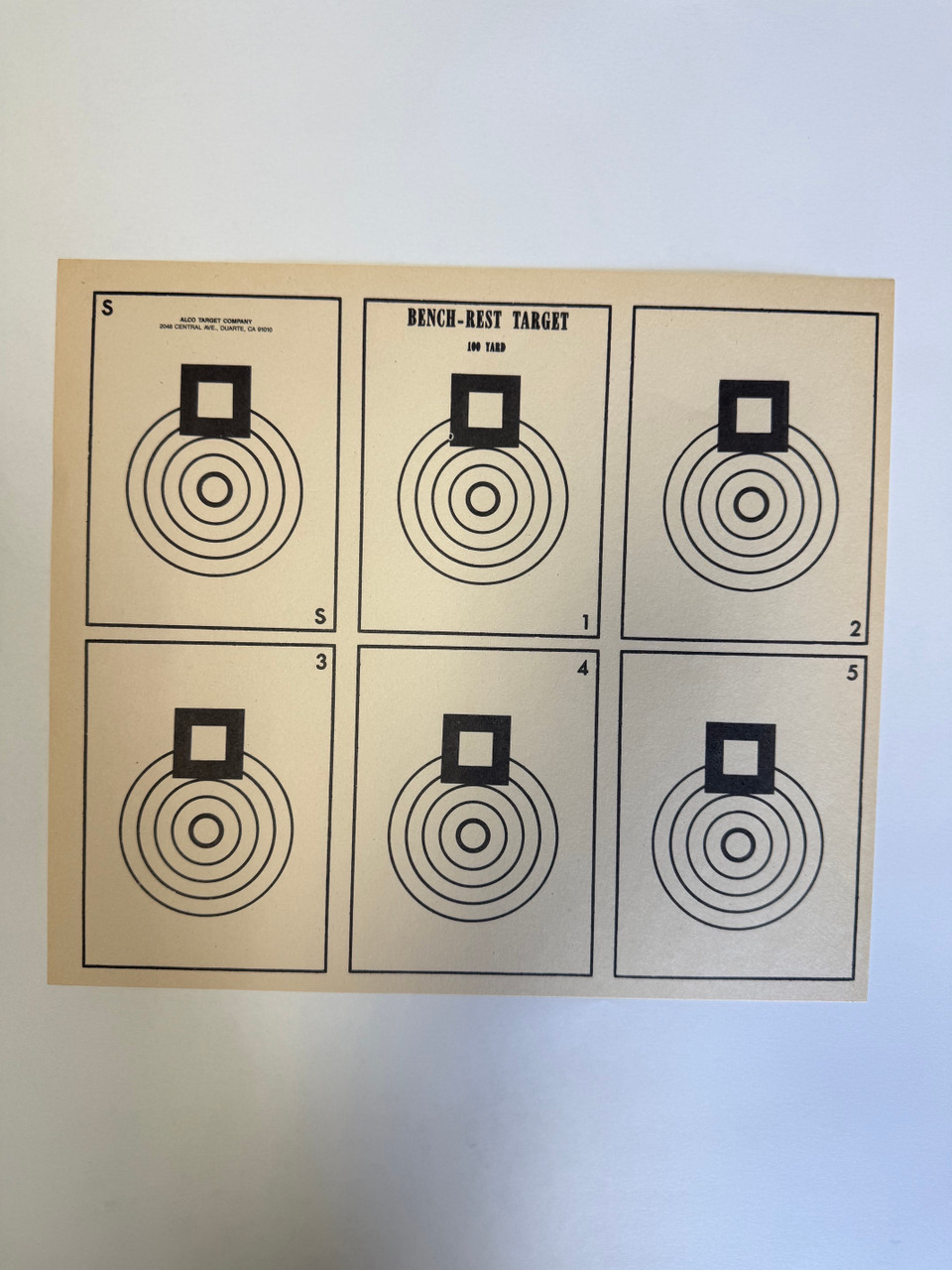 BR 100/6 Shooting Target