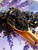 Immerse yourself in the refined and calming flavors of our Lavender Vanilla Earl Grey Black Loose Leaf Tea. This exquisite blend combines the classic taste of Earl Grey with soothing lavender and creamy vanilla, creating a luxurious tea experience reminiscent of a traditional London Fog.

 

Why loose leaf tea?

Loose leaf tea holds more of what nature intended: fuller flavor, richer aroma, and the space to unfurl and release its true character in every cup. We honor that process and bring you tea that’s always extraordinary.

 

Our Commitment

At White Cloud Tea Company, we are devoted to offering only the freshest, most flavorful loose leaf teas. We believe that tea should be a sensory experience—vibrant, aromatic, and full of life. That’s why we source with care and blend with intention, using whole leaves, real botanicals, and no shortcuts.

 

Steeping Instructions:

1 tsp per 8 oz | 212°F | Steep 3-5 min

 

Ingredients: black tea, lavender, orange, blue cornflowers, natural vanilla flavor, natural bergamot flavor & natural creme flavor

Caffeine level- High