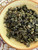 Golden Dawn Oolong Loose Leaf Tea