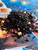 Cozy and nostalgic, Campfire S’mores is a rich black tea blend that captures the magic of a fireside treat. With toasted marshmallow, cocoa nibs, dark chocolate chips, and a hint of smoky Lapsang Souchong, this indulgent cup delivers layers of chocolatey sweetness and campfire warmth. Finished with safflower and smooth vanilla crème flavor, it’s s’mores in a mug—no flames required.

Why loose leaf tea?

Loose leaf tea holds more of what nature intended: fuller flavor, richer aroma, and the space to unfurl and release its true character in every cup. We honor that process and bring you tea that’s always extraordinary.

Our Commitment

At White Cloud Tea Company, we are devoted to offering only the freshest, most flavorful loose leaf teas. We believe that tea should be a sensory experience—vibrant, aromatic, and full of life. That’s why we source with care and blend with intention, using whole leaves, real botanicals, and no shortcuts.

Steeping Instructions:

1 tsp per 8 oz | 212°F | Steep 3-5 min

Ingredients: black tea, marshmallow, cocoa nibs, dark chocolate chips (cane sugar, cocoa mass, cocoa butter), natural chocolate flavor, lapsang souchong tea, safflower & vanilla creme flavor

Caffeine level- high