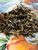 Just Peachy is a delightfully smooth white tea that captures the sweet, sun-ripened flavor of fresh peaches in every sip. Delicate white tea leaves provide a light, refreshing base, while cheerful calendula petals add a touch of natural beauty. Low in caffeine and wonderfully mellow, this fruity blend is perfect for slow mornings, peaceful afternoons, or whenever life calls for a little peachy pick-me-up.

Why loose leaf tea?
Loose leaf tea holds more of what nature intended: fuller flavor, richer aroma, and the space to unfurl and release its true character in every cup. We honor that process and bring you tea that’s always extraordinary.

Our Commitment
At White Cloud Tea Company, we are devoted to offering only the freshest, most flavorful loose leaf teas. We believe that tea should be a sensory experience—vibrant, aromatic, and full of life. That’s why we source with care and blend with intention, using whole leaves, real botanicals, and no shortcuts.

Steeping Instructions:
1 tsp per 8 oz | 155-170° F | Steep 3-5 min

Ingredients: white tea, natural flavor, peach, calendula
Caffeine level- low




