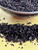 bourbon vanilla black tea, vanilla bourbon tea, bourbon flavored black tea, vanilla black tea blend, dessert black tea, sweet vanilla tea, bourbon vanilla loose leaf tea, gourmet black tea, luxury dessert tea, vanilla tea for evening, cozy vanilla tea, smooth bourbon tea, rich black tea blend, aromatic vanilla tea, bakery inspired tea, indulgent black tea, small batch loose leaf tea, artisan vanilla tea, premium black tea blend, warm vanilla tea.

	•	bourbon vanilla loose leaf tea
	•	bourbon vanilla dessert tea
	•	sweet vanilla black tea blend
	•	bakery inspired black tea
	•	bourbon vanilla tea for relaxing evenings