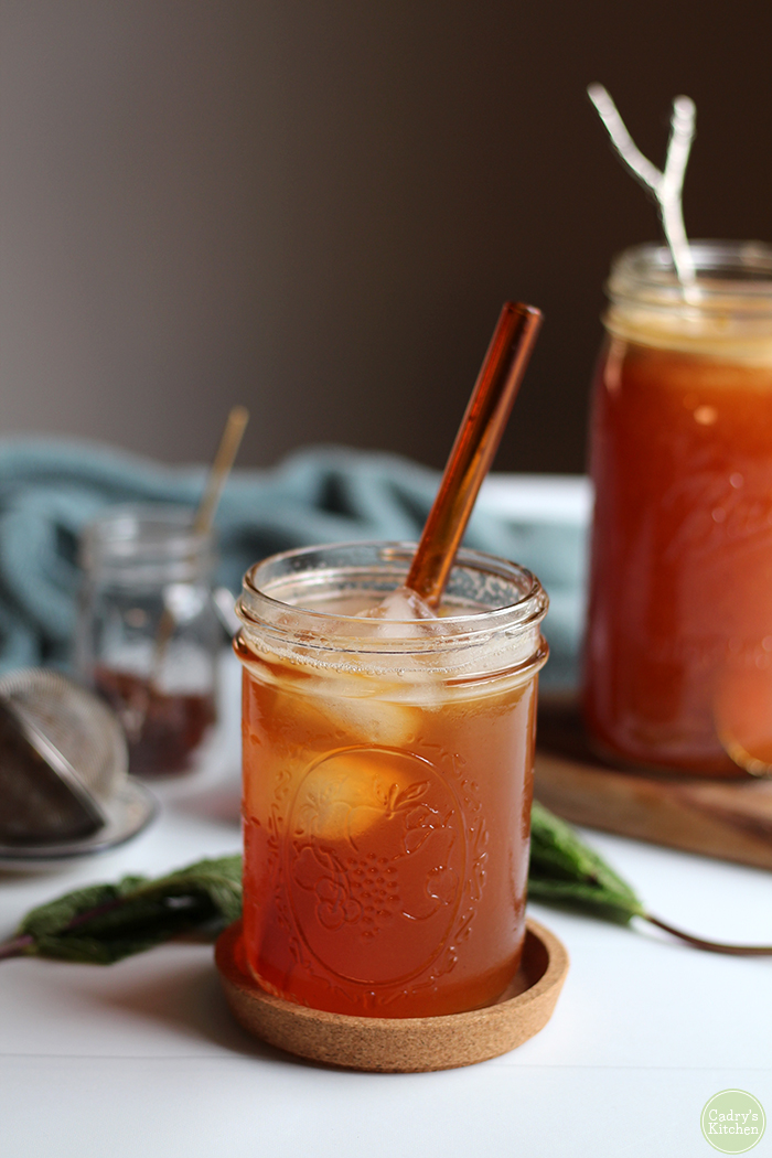 How To Make Loose Leaf Iced Tea {Plus 10 Flavorful Iced Tea Recipes