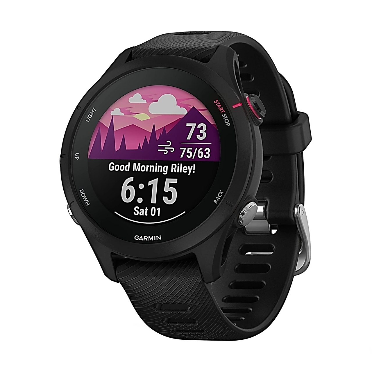 Garmin Forerunner 255S MUSIC スマートウォッチ Forerunner 255S Music | スマートウォッチ | Garmin 日本